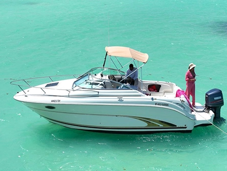 Sea Ray 245 private charter