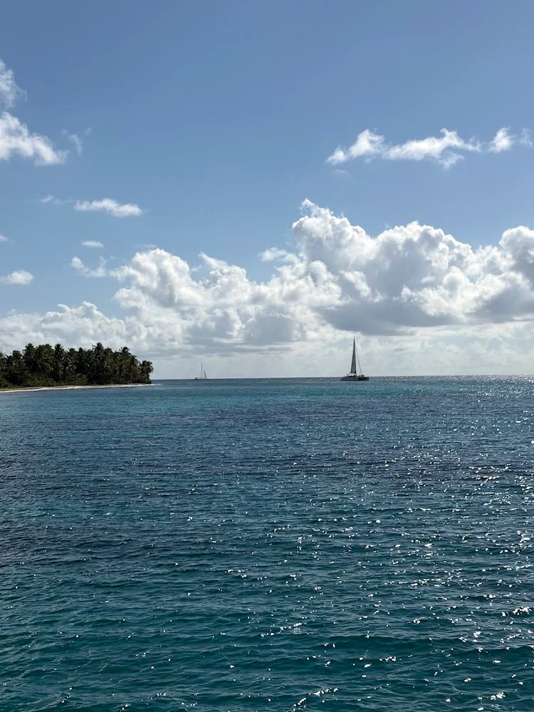 Photo shared by tim doney — 3